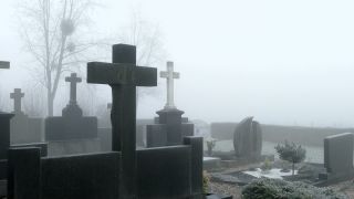 Link to Video | tree, weather, grave, fog, Christian cross, cemetery, Christianity, faith, symbol, religion