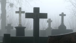 Link to Video | tree, weather, grave, fog, Christian cross, cemetery, Christianity, faith, symbol, religion