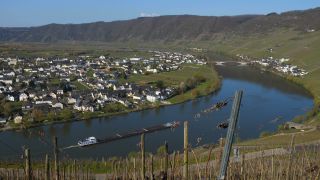 Link to Video | landscape, Rhineland-Palatinate, landscape element, Moselle, Germany, wine-producing region, viticulture, landform, Mittelmosel, valley, river, natural watercourse, Mosel-Saar-Ruwer, Moselle Valley