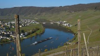 Link to Video | landscape, Rhineland-Palatinate, landscape element, Moselle, Germany, wine-producing region, viticulture, landform, Mittelmosel, valley, river, natural watercourse, Mosel-Saar-Ruwer, Moselle Valley