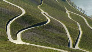 Link to Video | landscape, Rhineland-Palatinate, landscape element, Moselle, Germany, wine-producing region, viticulture, landform, Mittelmosel, valley, river, natural watercourse, Mosel-Saar-Ruwer, Moselle Valley