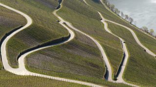 Link to Video | landscape, Rhineland-Palatinate, landscape element, Moselle, Germany, wine-producing region, viticulture, landform, Mittelmosel, valley, river, natural watercourse, Mosel-Saar-Ruwer, Moselle Valley