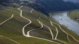 Link to Video | landscape, Rhineland-Palatinate, landscape element, Moselle, Germany, wine-producing region, viticulture, landform, Mittelmosel, valley, river, natural watercourse, Mosel-Saar-Ruwer, Moselle Valley