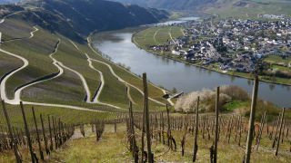 Link to Video | landscape, Rhineland-Palatinate, landscape element, Moselle, Germany, wine-producing region, viticulture, landform, Mittelmosel, valley, river, natural watercourse, Mosel-Saar-Ruwer, Moselle Valley