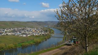 Link to Video | landscape, Rhineland-Palatinate, landscape element, Moselle, Germany, wine-producing region, viticulture, landform, Mittelmosel, valley, river, natural watercourse, Mosel-Saar-Ruwer, Moselle Valley