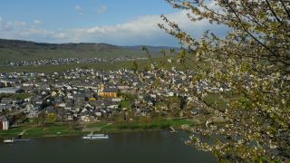 Link to Video | landscape, Rhineland-Palatinate, landscape element, Moselle, Germany, wine-producing region, viticulture, landform, Mittelmosel, valley, river, natural watercourse, Mosel-Saar-Ruwer, Moselle Valley