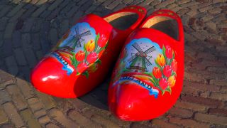 Link to Video | tourist destination, flora, Keukenhof, flora and fauna, park, Lisse, Netherlands, tourist attraction, nature