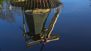 Link zum Video | Tourismusziel, Flora, Keukenhof, Flora und Fauna, Park, Lisse, Niederlande, Sehenswürdigkeit, Natur