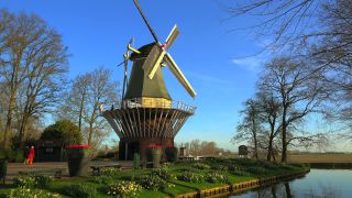 Link to Video | tourist destination, flora, Keukenhof, flora and fauna, park, Lisse, Netherlands, tourist attraction, nature