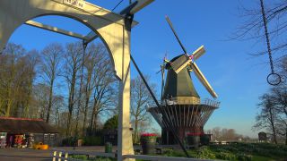 Link to Video | tourist destination, flora, Keukenhof, flora and fauna, park, Lisse, Netherlands, tourist attraction, nature