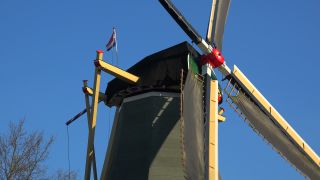 Link zum Video | Tourismusziel, Flora, Keukenhof, Flora und Fauna, Park, Lisse, Niederlande, Sehenswürdigkeit, Natur