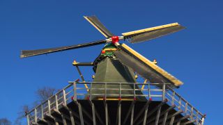 Link to Video | tourist destination, flora, Keukenhof, flora and fauna, park, Lisse, Netherlands, tourist attraction, nature