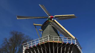 Link to Video | tourist destination, flora, Keukenhof, flora and fauna, park, Lisse, Netherlands, tourist attraction, nature