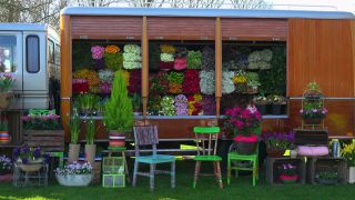 Link to Video | tourist destination, flora, Keukenhof, flora and fauna, park, Lisse, Netherlands, tourist attraction, nature