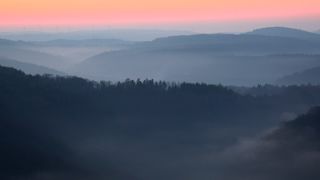 Link to Video | landscape, Saarland, Germany, fog, hill, Mettlach, haze, contre-jour, Mittelgebirge, morning, nature