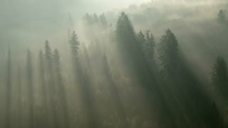 Link to Video | landscape, tree, Saarland, time of the day, Germany, lighting, fog, valley, forest, Saarschleife, Mettlach, day, contre-jour, morning, nature