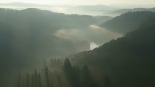 Link to Video | landscape, tree, Saarland, time of the day, Germany, lighting, fog, valley, forest, Saarschleife, Mettlach, day, contre-jour, morning, nature