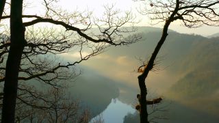 Link to Video | landscape, tree, Saarland, time of the day, Germany, lighting, fog, valley, forest, Saarschleife, Mettlach, day, contre-jour, morning, nature