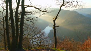 Link to Video | landscape, tree, Saarland, time of the day, Germany, lighting, fog, valley, forest, Saarschleife, Mettlach, day, contre-jour, morning, nature