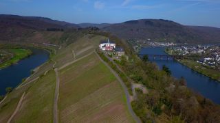 Link to Video | bird's-eye view, Rhineland-Palatinate, Moselle, Germany, wine-producing region, vineyard, castle, valley, river, aerial shot, Mosel-Saar-Ruwer, architectural structure