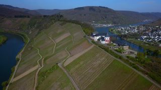 Link to Video | bird's-eye view, Rhineland-Palatinate, Moselle, Germany, wine-producing region, vineyard, castle, valley, river, aerial shot, Mosel-Saar-Ruwer, architectural structure