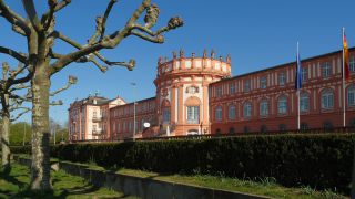 Link to Video