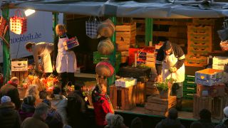 Link to Video | Hamburg, federated state of Germany, crowd, metropolis, market, urban municipality of Germany, city, Hanseatic city