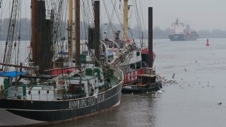 Link to Video | Hamburg, city-state, big city, million city, Germany, city, Hanseatic city