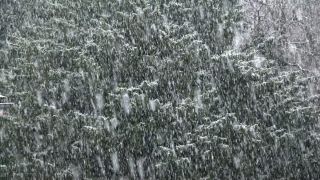 Link to Video | snow storm, weather, winter, season, precipitation, meteorology