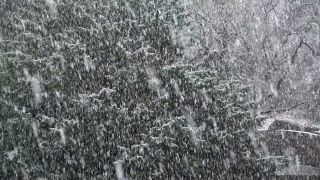 Link to Video | snow storm, weather, winter, season, precipitation, meteorology