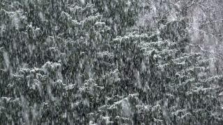 Link to Video | snow storm, weather, winter, season, precipitation, meteorology