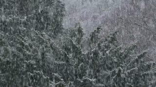 Link to Video | snow storm, weather, winter, season, precipitation, meteorology