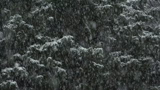 Link to Video | snow storm, weather, winter, season, precipitation, meteorology