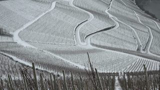 Link to Video | winter, Germany, wine-producing region, season, viticulture, river, Mosel-Saar-Ruwer, snow, Moselle Valley