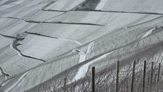 Link to Video | winter, Germany, wine-producing region, season, viticulture, river, Mosel-Saar-Ruwer, snow, Moselle Valley