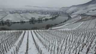 Link to Video | winter, Germany, wine-producing region, season, viticulture, river, Mosel-Saar-Ruwer, snow, Moselle Valley