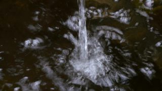 Link to Video | liquid, spring, water, water well, Moos, nature