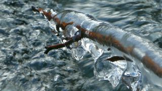 Link to Video | winter, ice, season, stream, icicle, frozen, nature