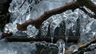 Link to Video | winter, ice, season, stream, icicle, frozen, nature