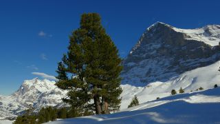 Link to Video | Bern, tourist destination, Alps, winter, high mountains, Swiss Alps, Bernese Alps, Switzerland, Bernese Oberland, tourism destination, mountain