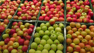 Link to Video | vegetable, shopping center, grocery store, supermarket, food, shop, fruit, business, food industry, supply