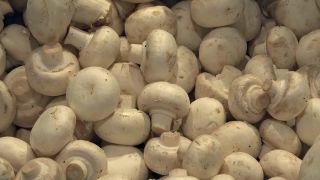 Link to Video | vegetable, shopping center, grocery store, supermarket, food, shop, fruit, business, food industry, supply