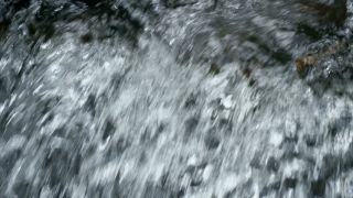 Link to Video