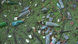 Link to Video | environmental pollution, color, river, waste, 2021