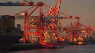 Link to Video | Hamburg, city-state, big city, maritime transport, Elbe, container ship, logistics, port settlement, industry, water transport, mode of transport, sea shipping, port, container terminal, portainer, crate, lake transport, Hanseatic city, transport