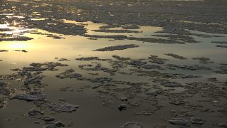 Link to Video | Hamburg, waterway, winter, city-state, big city, maritime transport, million city, Elbe, Germany, port settlement, ice, ice floe, river, port
