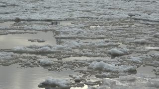 Link to Video | Hamburg, winter, big city, million city, Elbe, Germany, port settlement, river, Hanseatic city