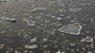 Link to Video | Hamburg, winter, big city, million city, Elbe, Germany, port settlement, river, Hanseatic city