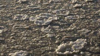Link to Video | Hamburg, winter, big city, million city, Elbe, Germany, port settlement, river, Hanseatic city