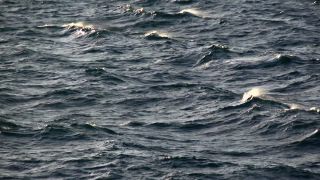 Link to Video